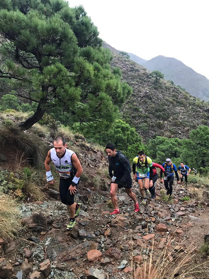 IV Trail Sierra Bermeja (25/noviembre/2018)