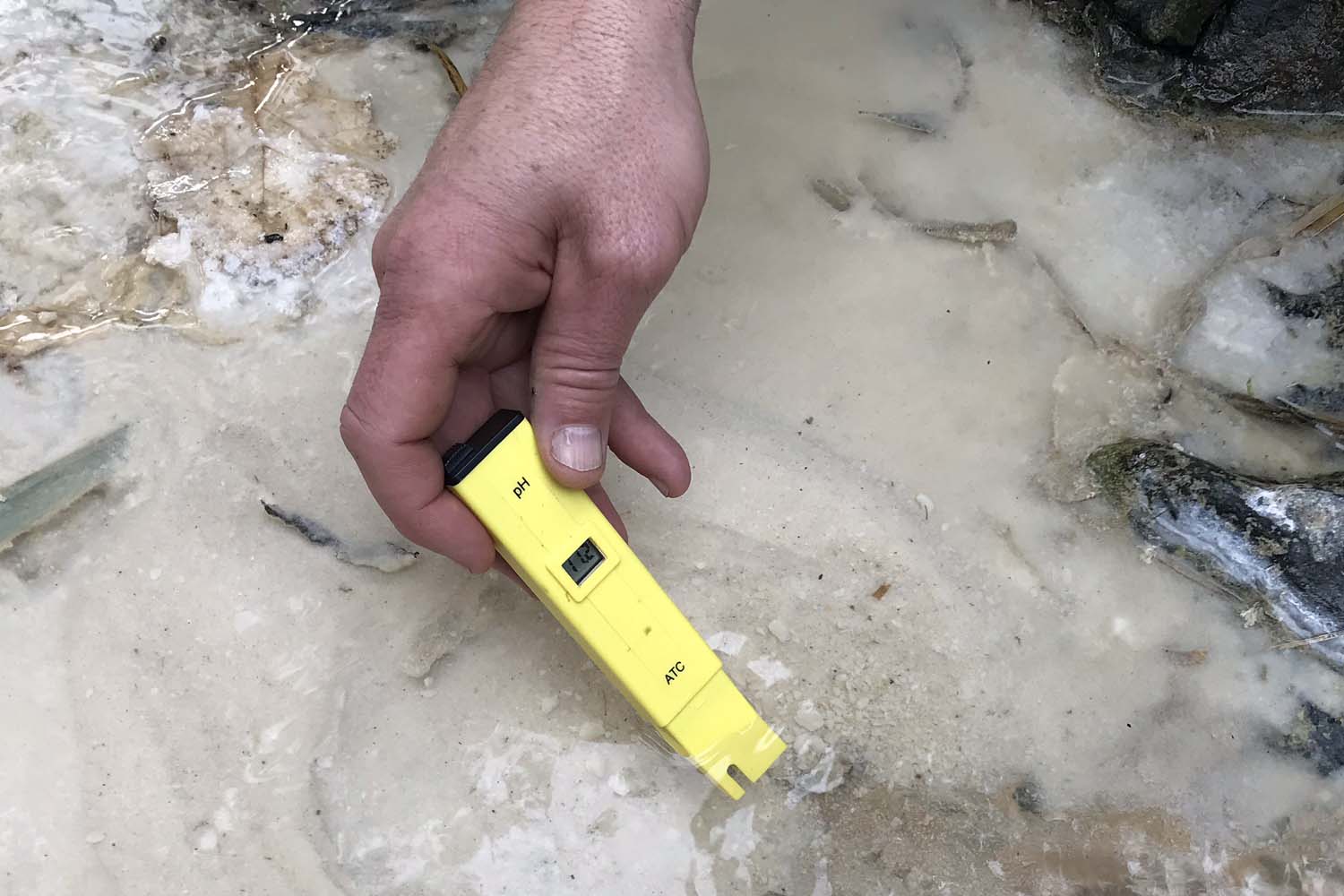 pH hiperalcalino (11.5) medido en manantiales de Sierra Bermeja (Autor: Javier Martos) pH hiperalcalino (11.5) medido en un manantial de Sierra Bermeja (Fotografía: Javier Martos, 2019)