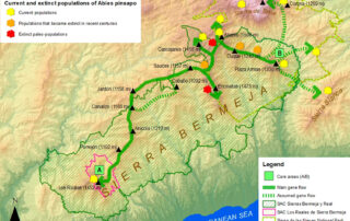 Conectividad ecológica del pinsapo propuesta para Sierra Bermeja (Gómez Zotano et al., 2023)
