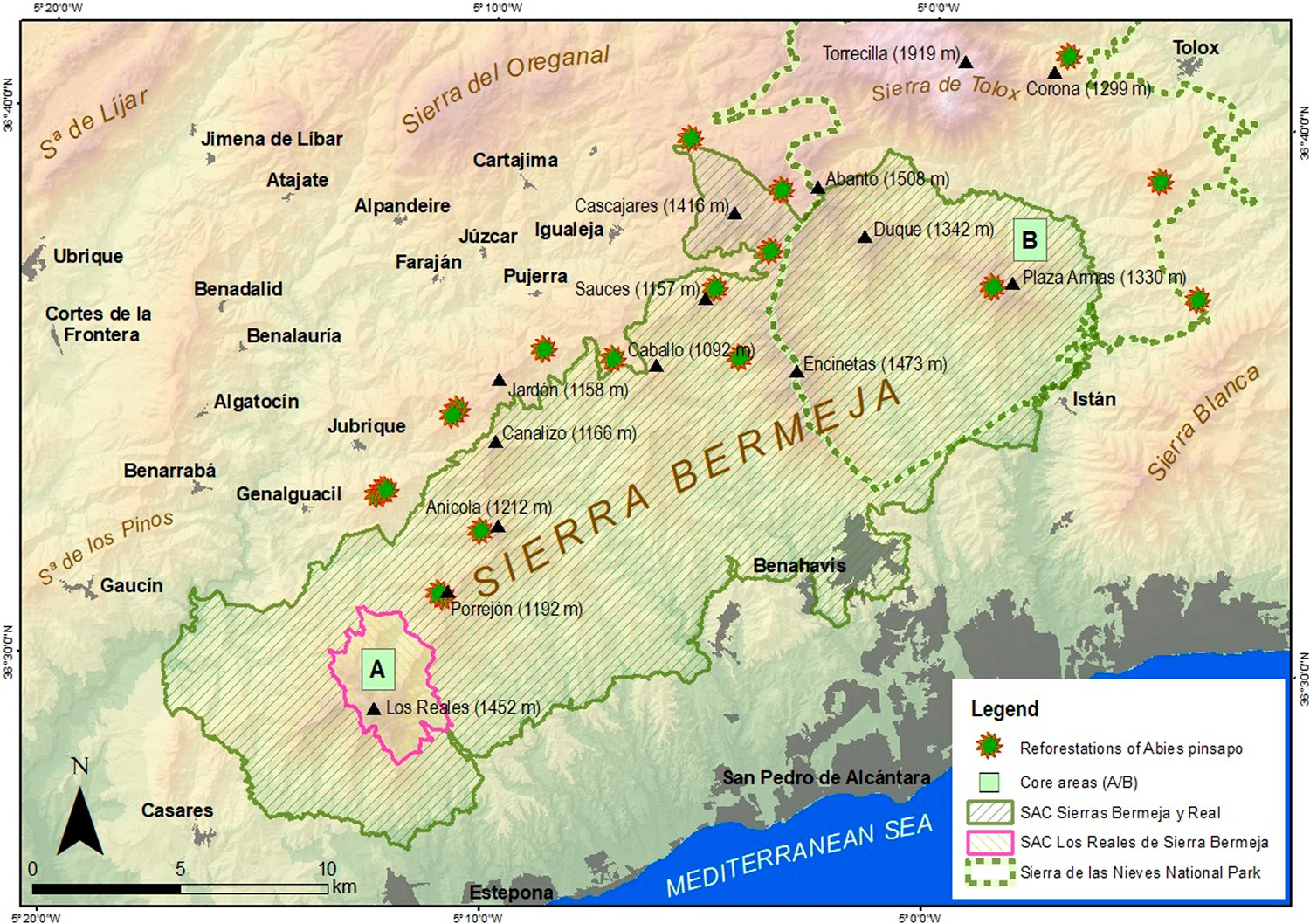 Conectividad ecológica del pinsapo propuesta para Sierra Bermeja (Gómez Zotano et al., 2023)