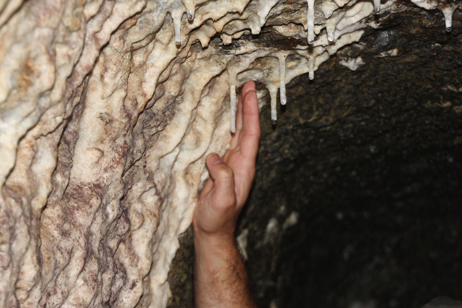 Mina Amargosa en Sierra en Sierra Bermeja, con aguas hiperalcalinas y formaciones de carbonato cálcico (Fotografía: Javier Martos, 2011) Mina Amargosa en Sierra en Sierra Bermeja, con aguas hiperalcalinas y formaciones de carbonato cálcico (Fotografía: Javier Martos, 2011)