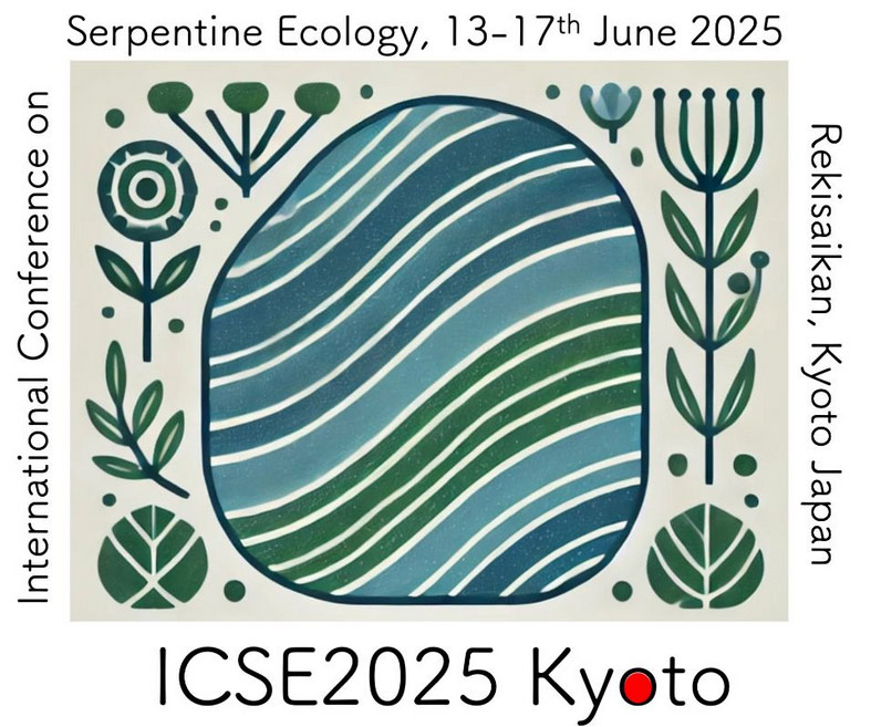 11º congreso internacional de serpentinas (Kyoto, junio de 2025) 11º congreso internacional de serpentinas (Kyoto, junio de 2025)