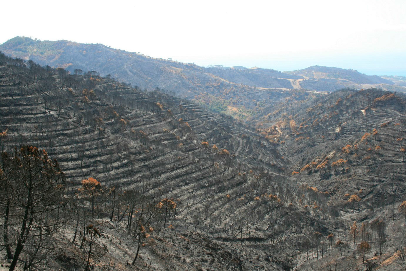 Incendio de Sierra Alpujata (sept de 2012)