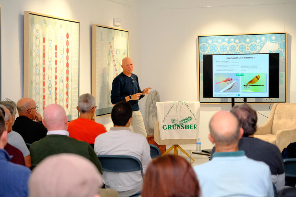 Conferencia 'Introducción a los insectos de Sierra Bermeja', por José Manuel Moreno Benítez