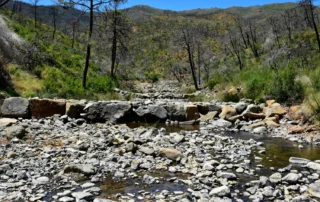 Diques del río Castor (Fotografía: Óscar Gavira)