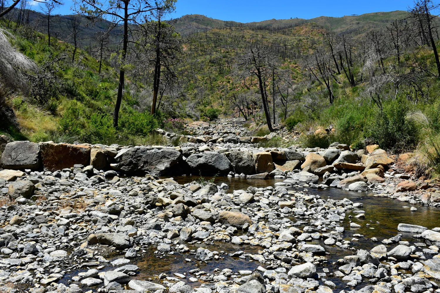 Diques del río Castor (Fotografía: Óscar Gavira)