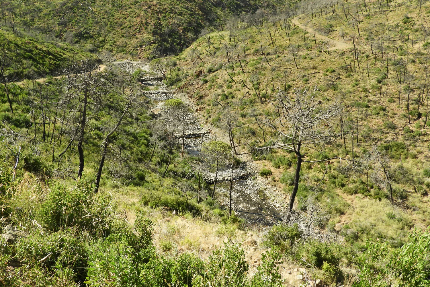 Diques del río Castor (Fotografía: Óscar Gavira)