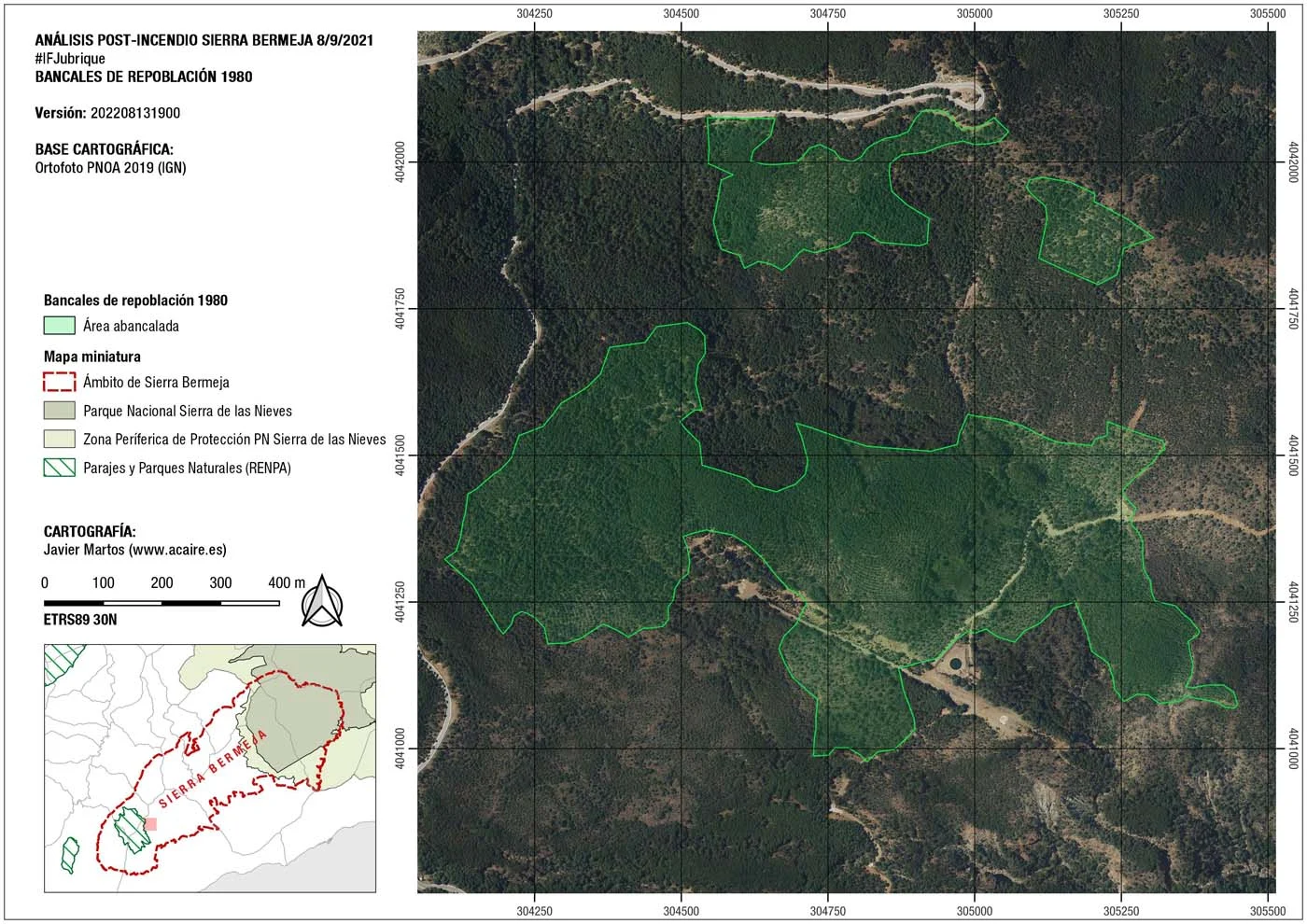 Bancales de repoblación en los años 80 de Pinus pinaster en Sierra Bermeja (Autor: Javier Martos)