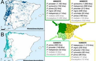 Áreas incendias por vegetación tipo en incendios forestales (Ojeda y otros, 2026)