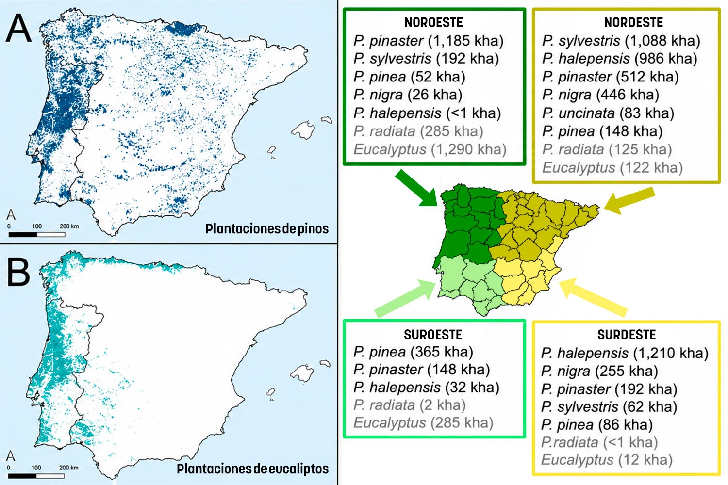 Áreas incendias por vegetación tipo en incendios forestales (Ojeda y otros, 2026)